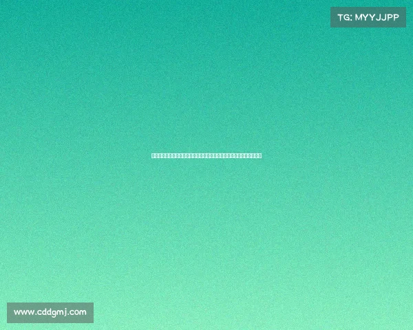 卡塔尔赛事情况卡塔尔世界杯赛事进程挑战应对策略与未来趋势深度解析